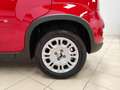 Fiat Panda 1.0 FireFly S&S Hybrid Rouge - thumbnail 11