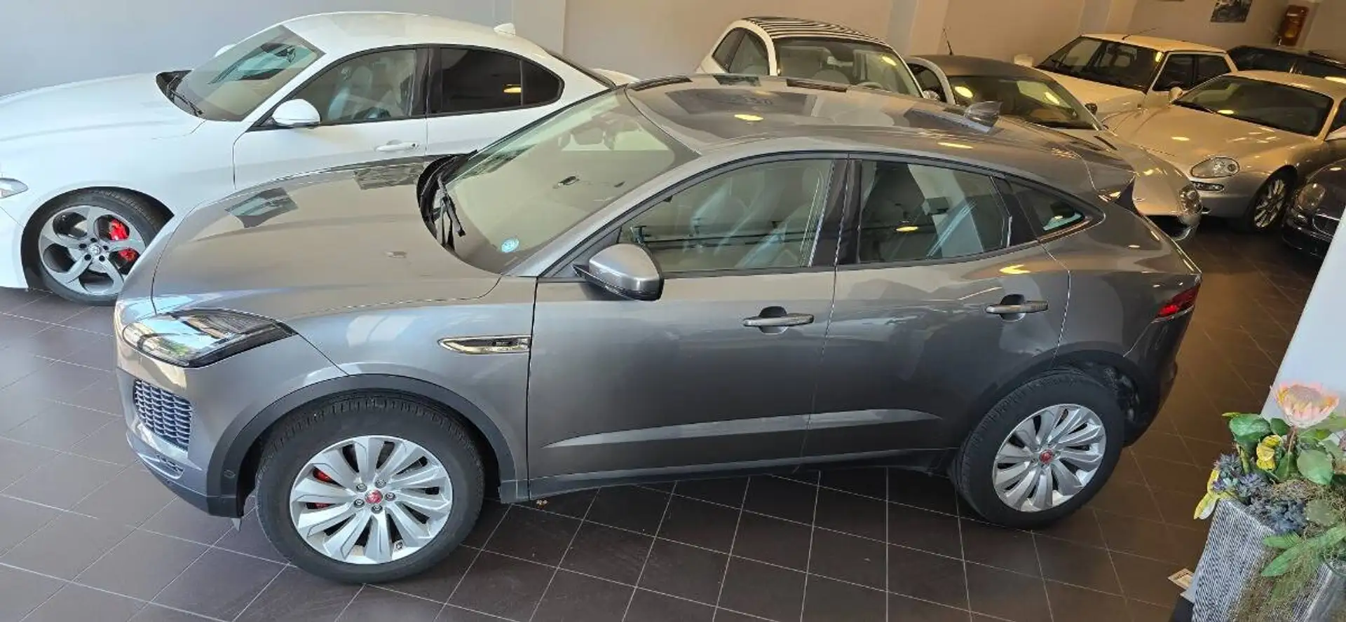 Jaguar E-Pace 2.0d i4 SE  240cv motore nuovo*garanzia 24 mesi* Grigio - 2