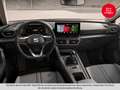 SEAT Leon Austria Edition 1.0 TSI Rot - thumbnail 6