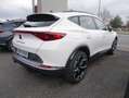 CUPRA Formentor 1.5 TSI DSG 360° Beats Full Link Pano Weiß - thumbnail 3