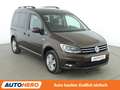 Volkswagen Caddy 1.4 TSI Comfortline BMT Aut.*NAVI*XENON*ACC*CAM* Braun - thumbnail 8