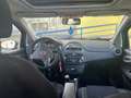 Fiat Punto Evo Punto Evo 5p 1.3 mjt Blue Blu/Azzurro - thumbnail 4