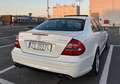 Mercedes-Benz E 55 AMG E 55 AMG Automatik Weiß - thumbnail 6