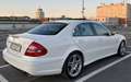 Mercedes-Benz E 55 AMG E 55 AMG Automatik Weiß - thumbnail 5