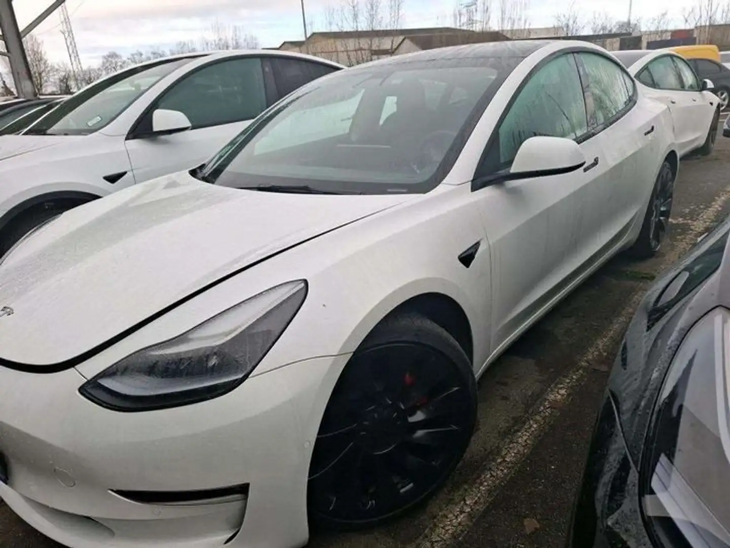 Tesla Model 3 Model 3 75 Kwh Performance 4WD Blanc - 1
