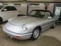 Alfa Romeo Spider Cabrio Grau - thumbnail 2