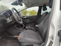 Ford Fiesta 1.0 EcoBoost 100pk 5dr Titanium Navigatie | Achter Wit - thumbnail 11