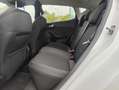 Ford Fiesta 1.0 EcoBoost 100pk 5dr Titanium Navigatie | Achter Wit - thumbnail 12