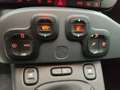 Fiat Panda 1.0 70CV HYBRID CROSS Zielony - thumbnail 14