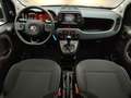 Fiat Panda 1.0 70CV HYBRID CROSS Zielony - thumbnail 9