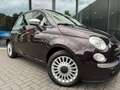 Fiat 500 1.2 Lounge,Panorama,Airco,LMV,PDC,Multi Stuur,Elek Burdeos - thumbnail 19