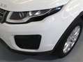 Land Rover Range Rover Evoque 2.0L TD4 Diesel 110kW (150CV) 4x4 Pure Blanco - thumbnail 32