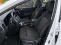 Kia Sportage 1.6 T-GDi PHEV Drive 4x4 265 Blanco - thumbnail 8