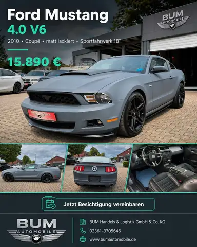 Ford Mustang 4.0 V6 Coupe Matt lackiert  Sportfahrwerk 18"