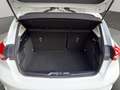 Ford Focus 1.0 EcoBoost 100 CV 5p. Business Blanc - thumbnail 24