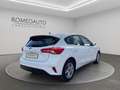 Ford Focus 1.0 EcoBoost 100 CV 5p. Business Blanc - thumbnail 6