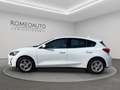 Ford Focus 1.0 EcoBoost 100 CV 5p. Business Blanc - thumbnail 3