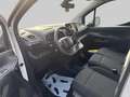 Citroen Berlingo IV Taille XL Heavy Blanc - thumbnail 11