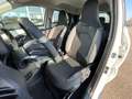 Toyota Aygo X 1.0 VVT-i 72 CV 5 porte Active Bianco - thumbnail 9