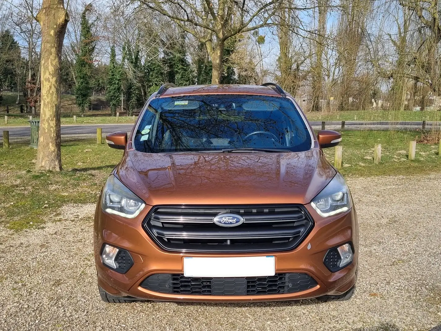 Ford Kuga 2.0 TDCI 150 STOP\u0026START ST-LINE 4X4 POWERSHIF - 2