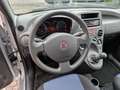 Fiat Panda 1.2 Climbing 4x4 69cv E5 - thumbnail 8