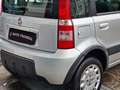 Fiat Panda 1.2 Climbing 4x4 69cv E5 - thumbnail 3