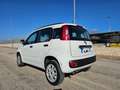 Fiat Panda 0.9 TwinAir Turbo Natural Power Pop AUTOVETTURA Wit - thumbnail 9