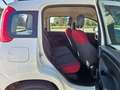 Fiat Panda 0.9 TwinAir Turbo Natural Power Pop AUTOVETTURA Wit - thumbnail 14