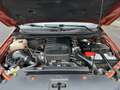 Ford Ranger 3.2 L TDCI 200 CV Wildtrack Or - thumbnail 13
