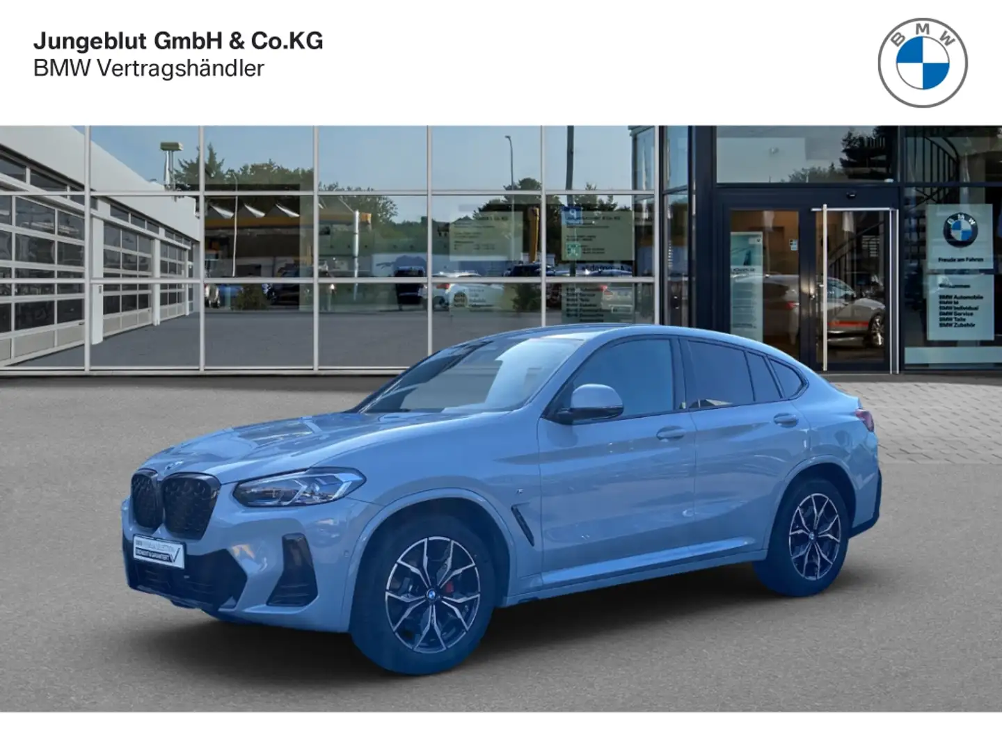 BMW X4 20d M Sport Laserlicht/AHK/Standhzg/HUDisplay/Live Grau - 1