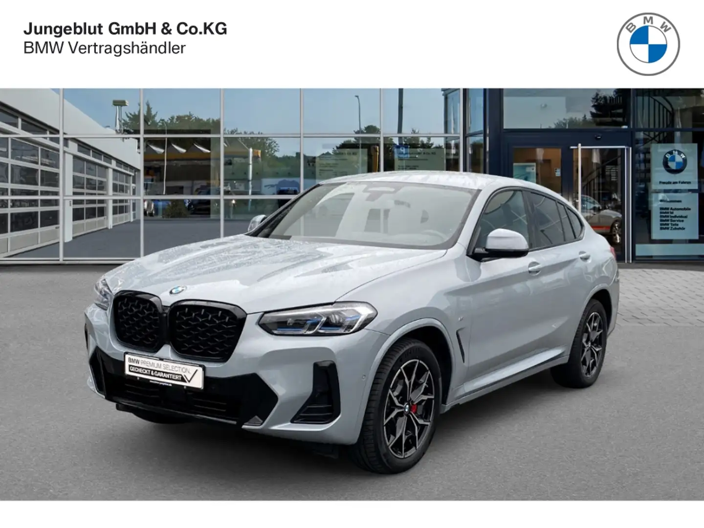 BMW X4 20d M Sport Laserlicht/AHK/Standhzg/HUDisplay/Live Gris - 1