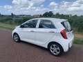 Kia Picanto 1.0 CVVT DynamicLine Blanc - thumbnail 3