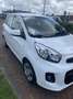 Kia Picanto 1.0 CVVT DynamicLine Blanc - thumbnail 2