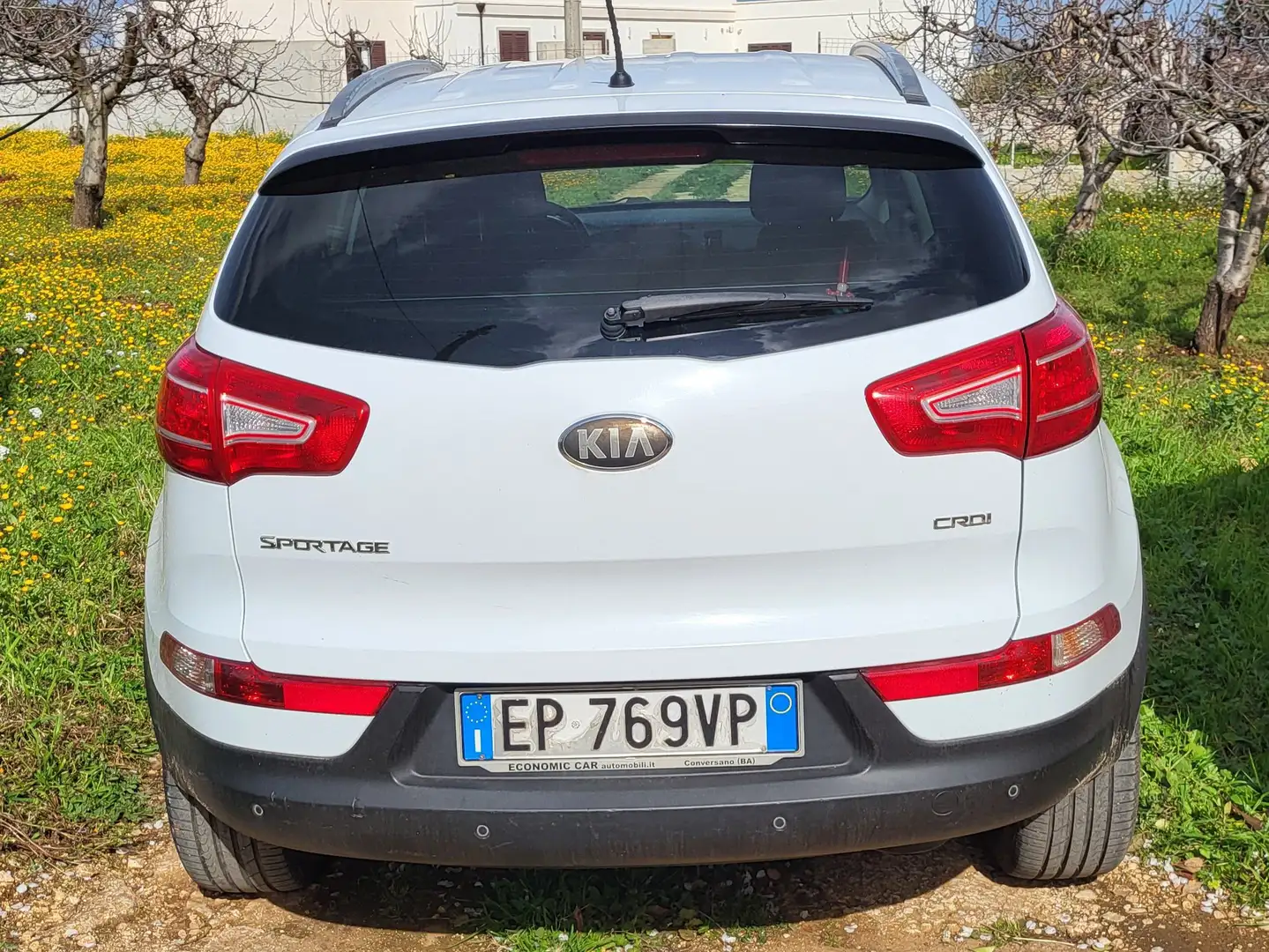 Kia Sportage Bianco - 2