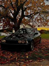 530d
