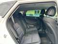 Hyundai TUCSON Tucson II 2015 2.0 crdi Xpossible 4wd 136cv Blanc - thumbnail 12