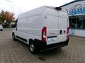 Fiat Ducato H2 Kastenwagen 33 L2H2 140 Multijet Flach Weiß - thumbnail 3