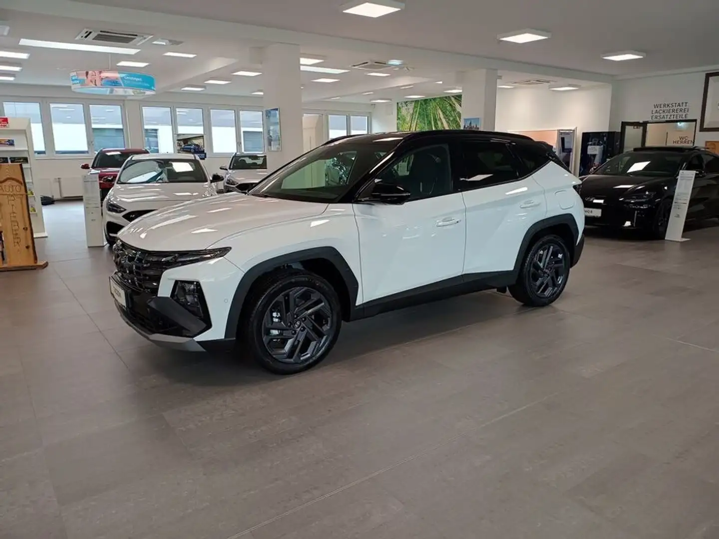 Hyundai TUCSON PHEV 1,6 T-GDI 4WD 20th Anniversary Aut. Blanc - 2