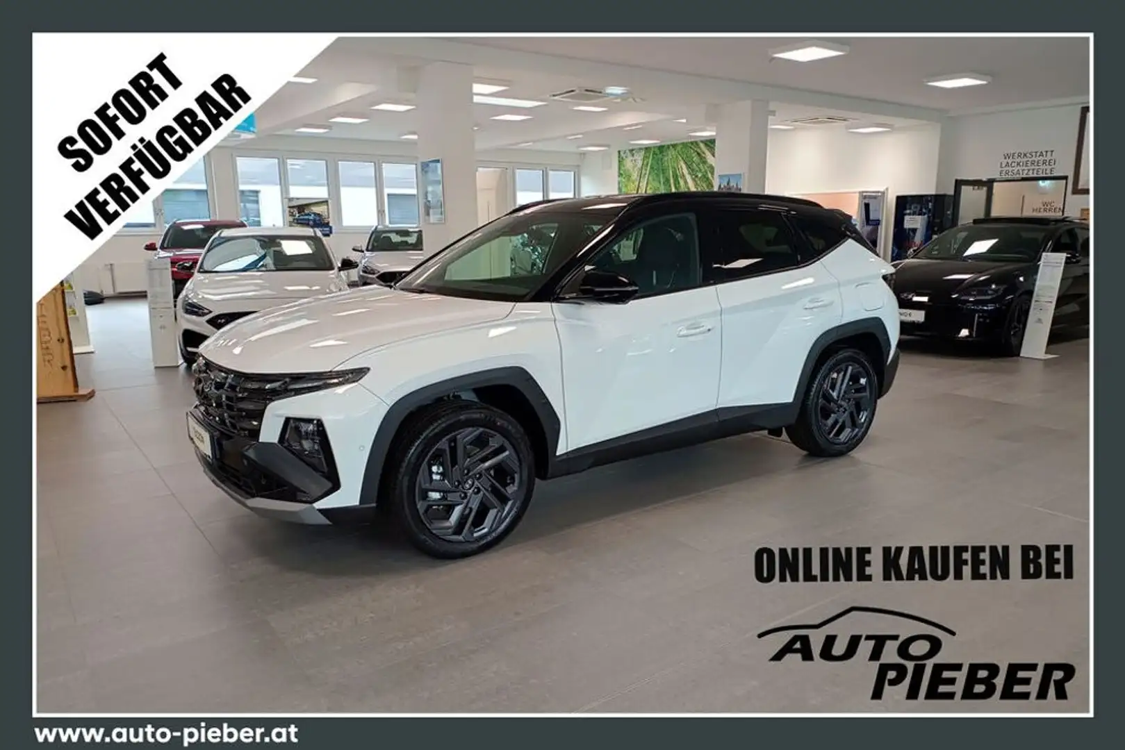 Hyundai TUCSON PHEV 1,6 T-GDI 4WD 20th Anniversary Aut. Blanc - 1