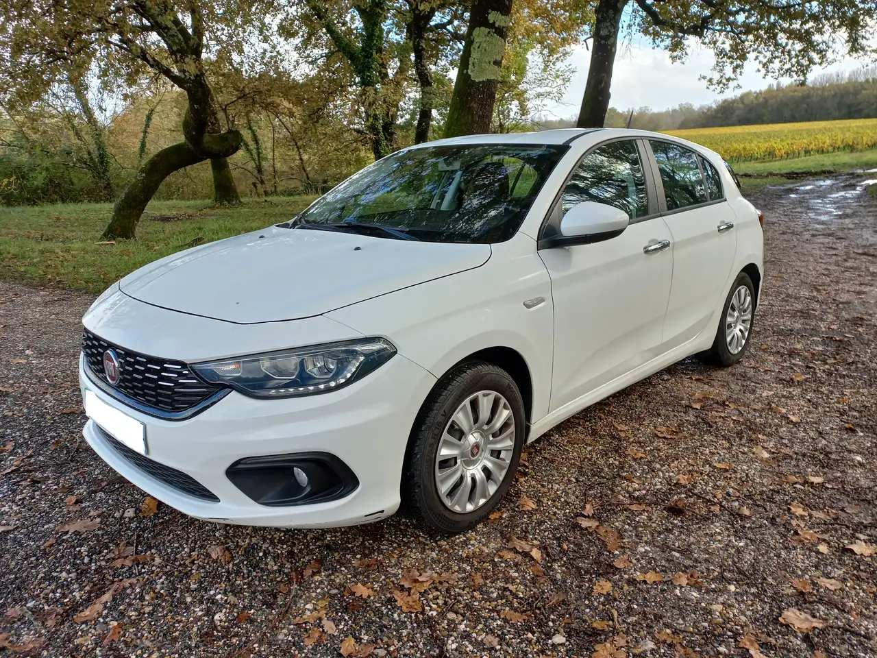 Fiat Tipo 5 Portes 1.4 95 ch Pop