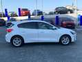 Ford Focus 1.0 Ecoboost Trend+ 125 Blanco - thumbnail 19