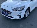Ford Focus 1.0 Ecoboost Trend+ 125 Blanco - thumbnail 16