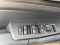 Kia Sportage Spirit 1.6D 48V 2WD DCT DriveWise Sound Grün - thumbnail 16