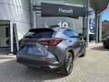 Lexus NX 450h+ Privilege Line ***NEW - STOCK*** Gris - thumbnail 5