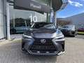 Lexus NX 450h+ Privilege Line ***NEW - STOCK*** Szary - thumbnail 2