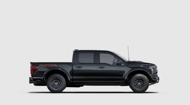 Ford F-150 Raptor view 5