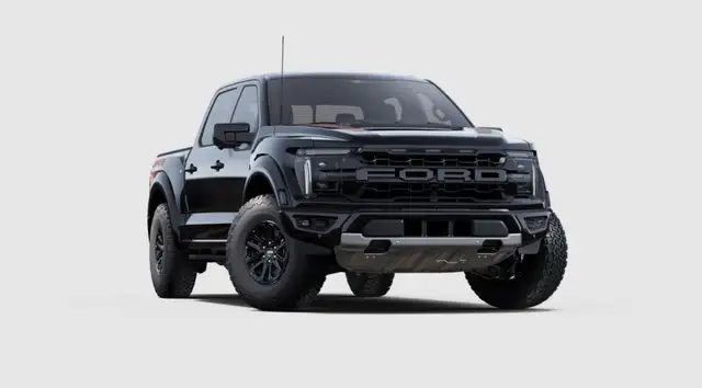 Ford F-150 Raptor view 4