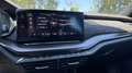 Skoda Octavia RS iV PHEV HUD DCC Standheiz Grau - thumbnail 26