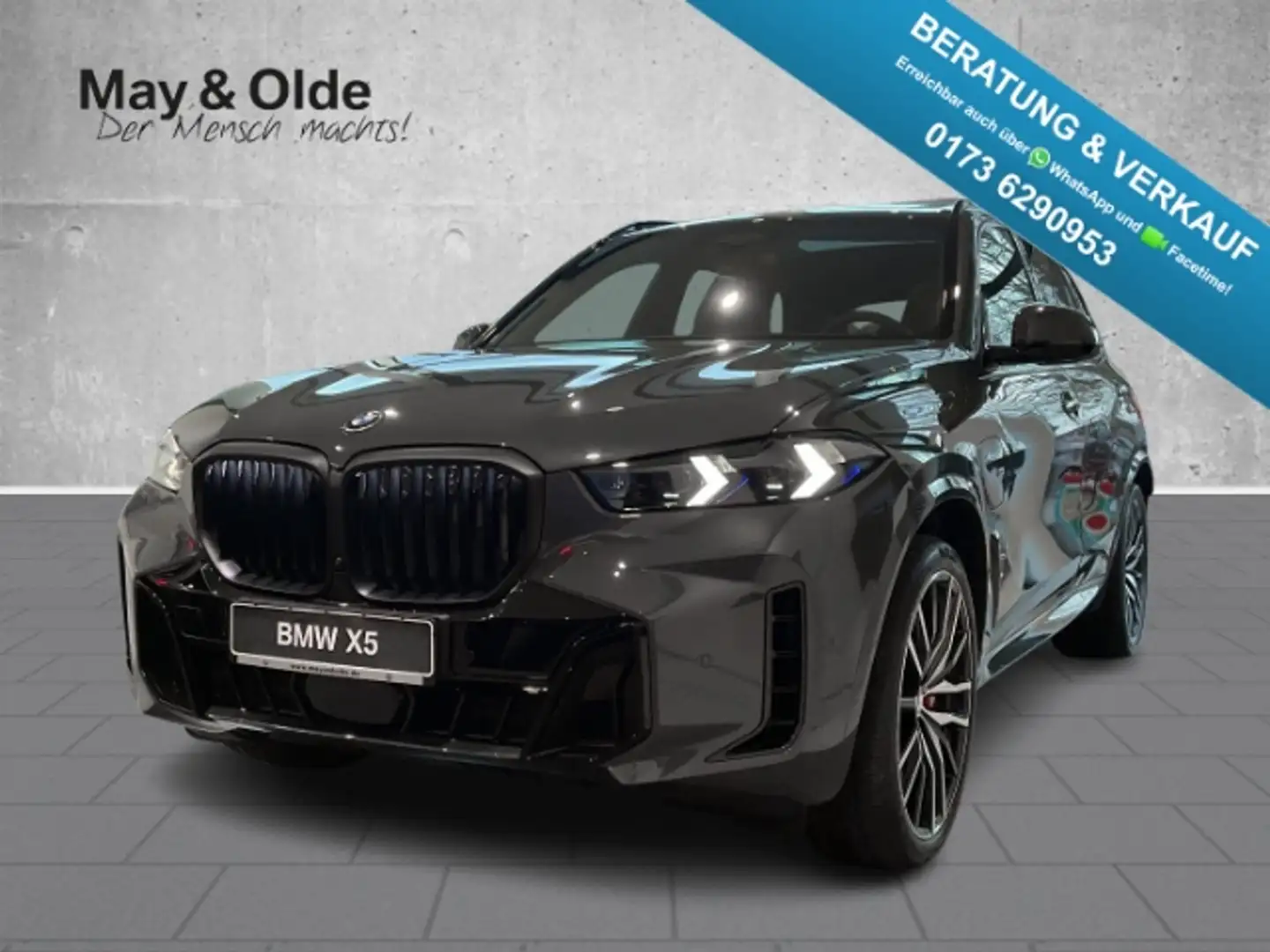 BMW X5 xDrive 50e M-Sport ACC HUD Luft  AHK Pano Nav Lede Gris - 1