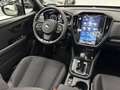 Subaru Forester 2.0i Hybrid Active CVT Beige - thumbnail 8